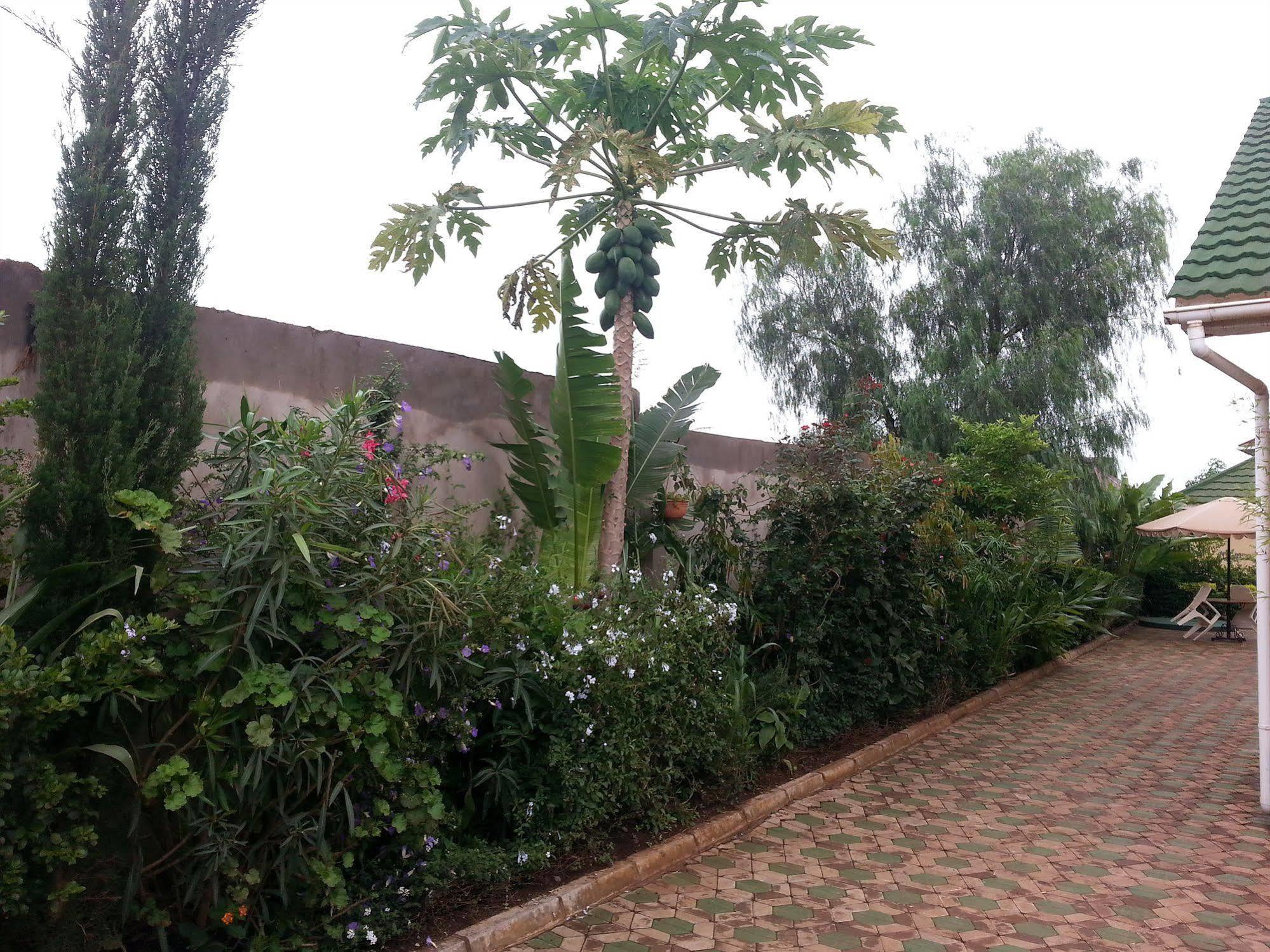 Korona House Hotel Arusha Extérieur photo